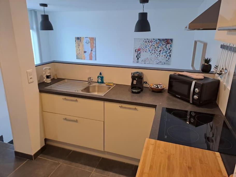 Bel Appartement Grande Terrasse Avec Parking A דיז'ון מראה חיצוני תמונה