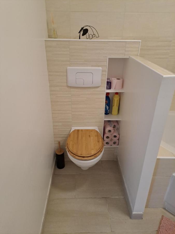 Bel Appartement Grande Terrasse Avec Parking A דיז'ון מראה חיצוני תמונה