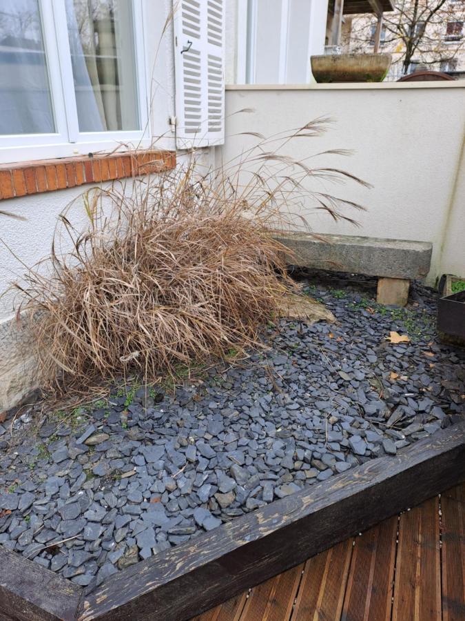 Bel Appartement Grande Terrasse Avec Parking A דיז'ון מראה חיצוני תמונה
