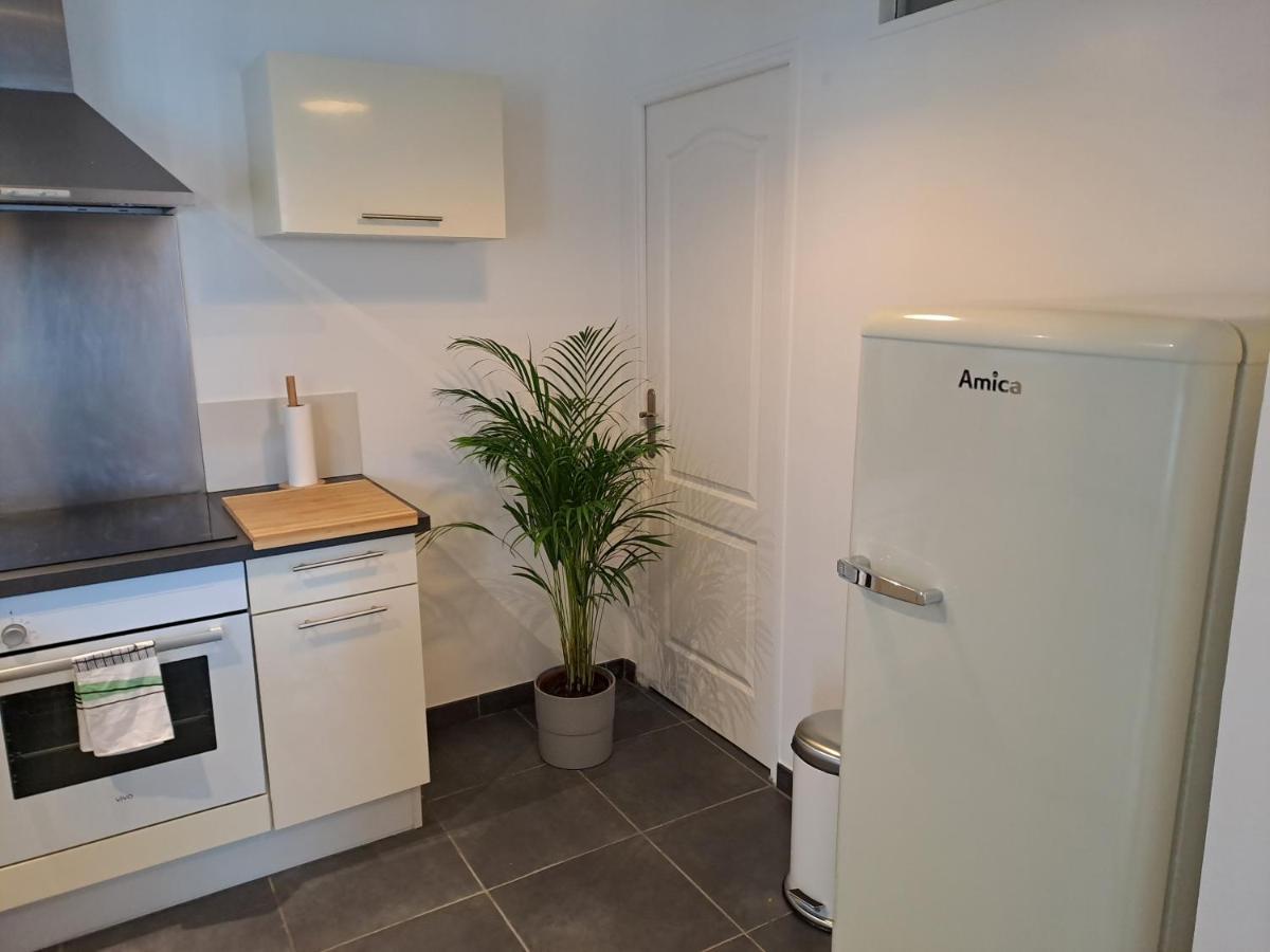 Bel Appartement Grande Terrasse Avec Parking A דיז'ון מראה חיצוני תמונה