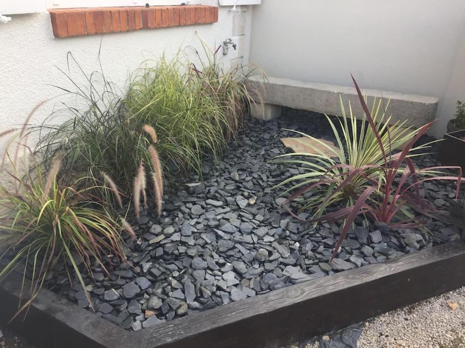 Bel Appartement Grande Terrasse Avec Parking A דיז'ון מראה חיצוני תמונה