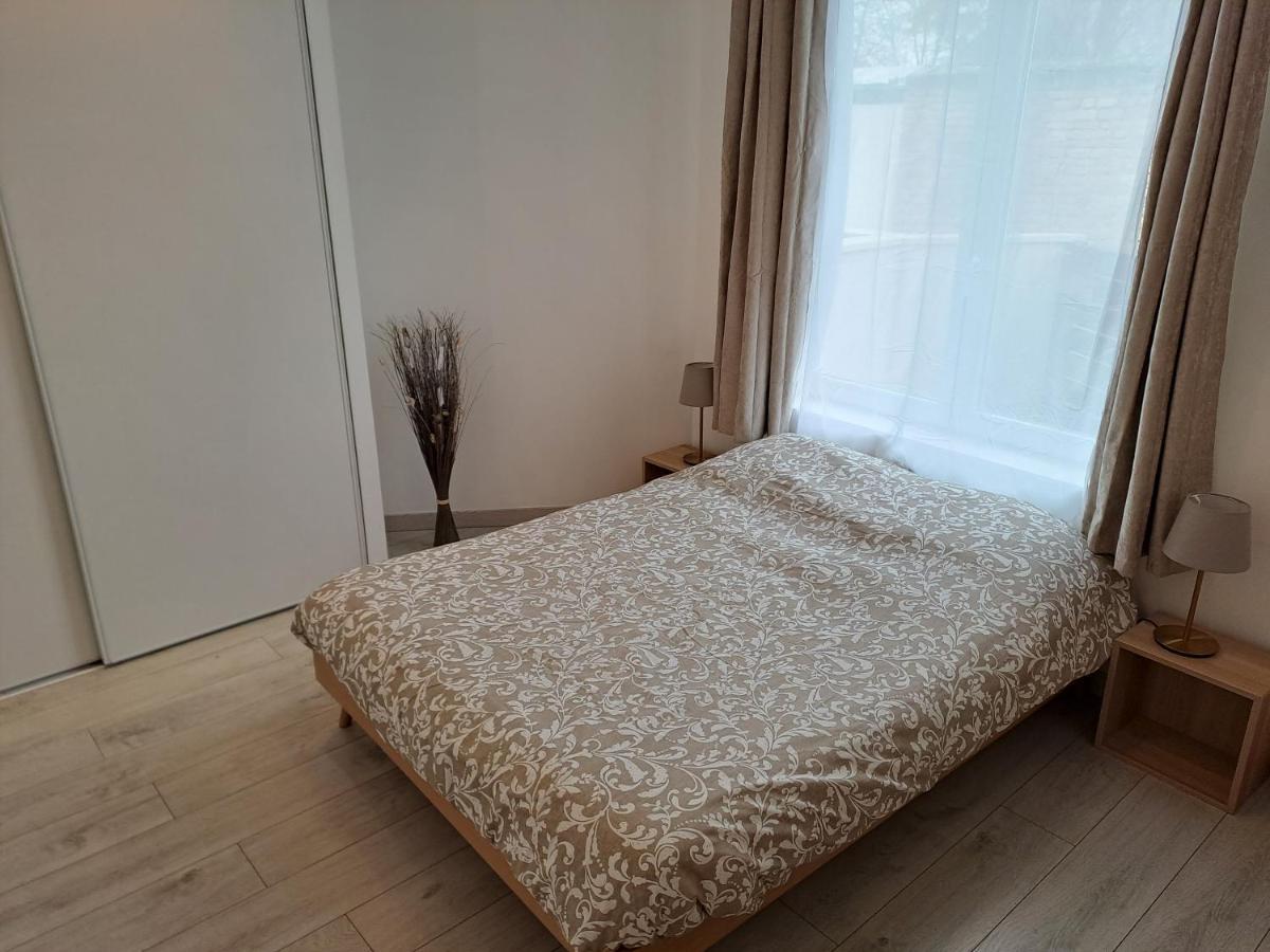Bel Appartement Grande Terrasse Avec Parking A דיז'ון מראה חיצוני תמונה