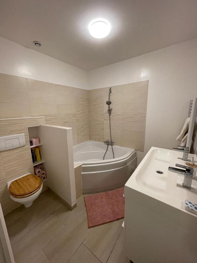 Bel Appartement Grande Terrasse Avec Parking A דיז'ון מראה חיצוני תמונה