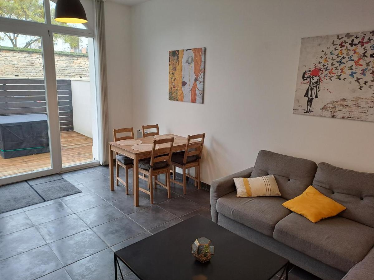 Bel Appartement Grande Terrasse Avec Parking A דיז'ון מראה חיצוני תמונה