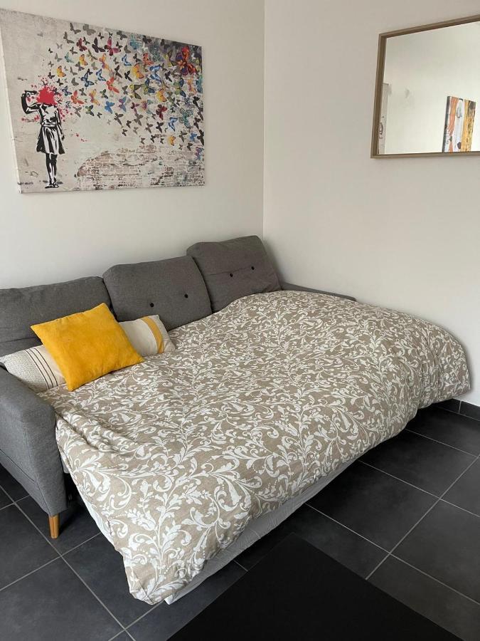 Bel Appartement Grande Terrasse Avec Parking A דיז'ון מראה חיצוני תמונה